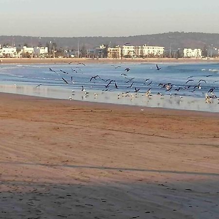Darsal-Bwindi, Pour Tomber Amoureux D'Essaouira !别墅 外观 照片